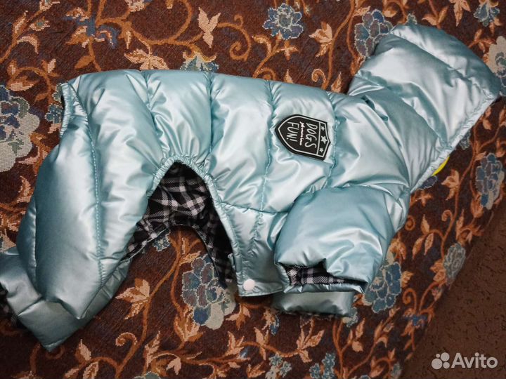 Одежда для собак