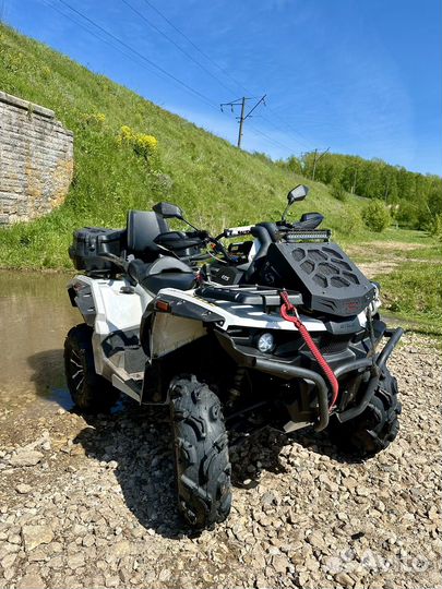 Стелс Гепард