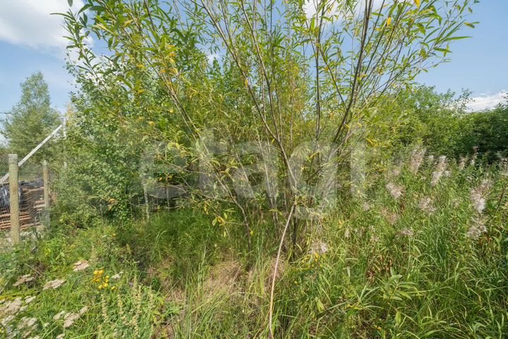 Участок 6,5 сот. (СНТ, ДНП)