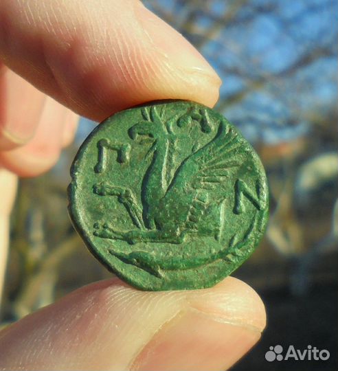 Тетрахалк с грифоном