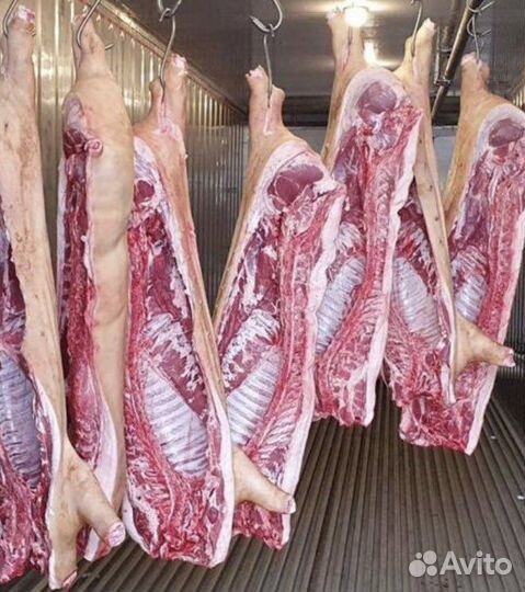 Продам домашнее мясо