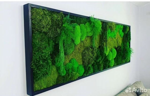 Мох стабилизированный панно фитостена фитокартина