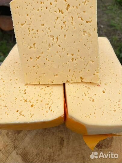 Сыры оптом и в розницу