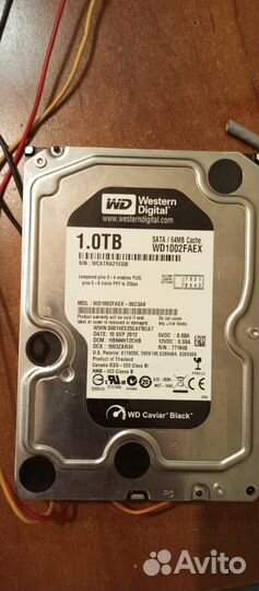 Жесткий диск 1 тб