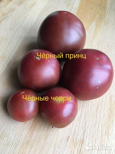 Семена томатов из Англии