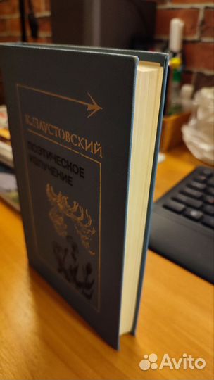 К. Паустовский Поэтическое излучение