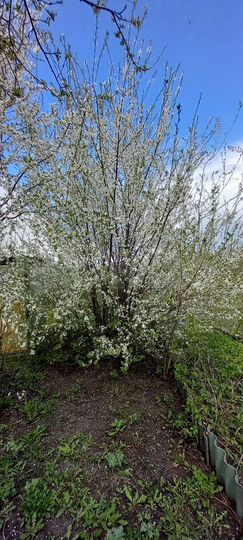 Дача 20 м² на участке 12 сот.