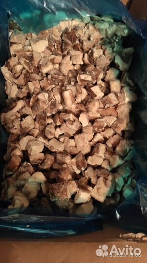 Грибы шиитаке цена за 1 кг