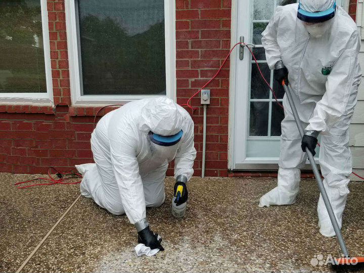 Уничтожение тараканов клопов грызунов дезинфекция