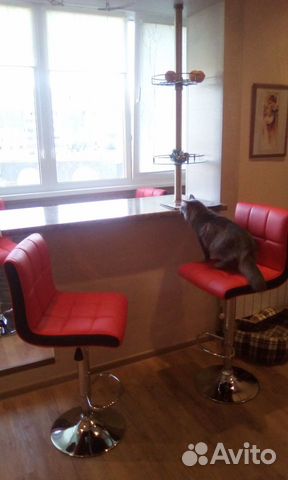 Ремонт и отделка квартиры, дома,Бригада строителей