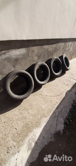 Nexen Winguard Ice 205/55 R16