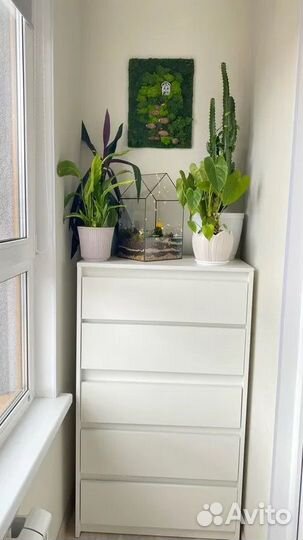 Комод 0,7 метра Белый