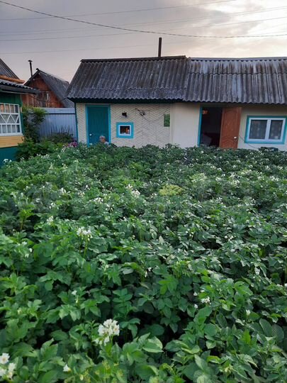 Дача 40 м² на участке 5,2 сот.