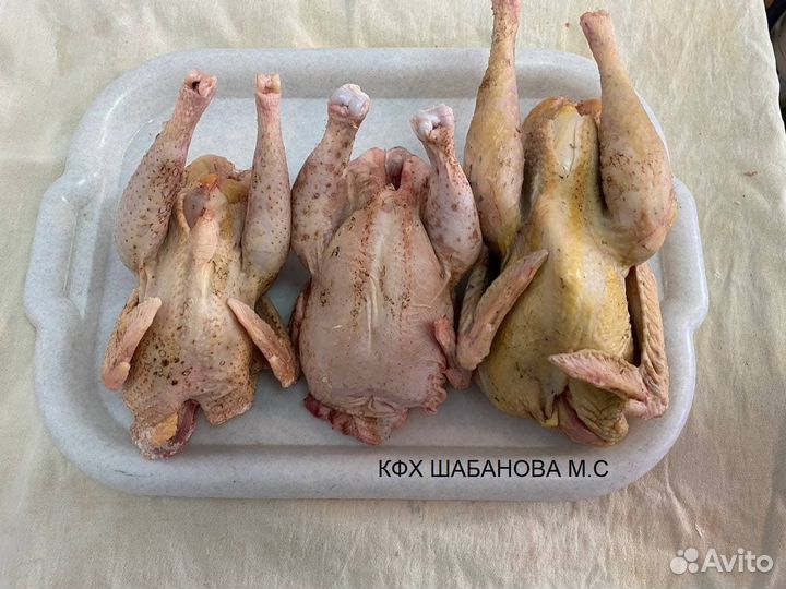 Мясо домашней курицы