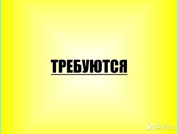 Продавец-кассир в торговую сеть