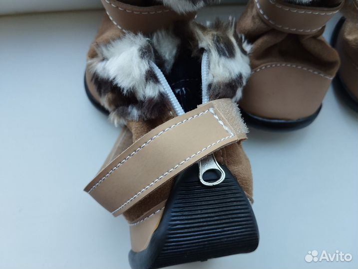 Обувь для собак