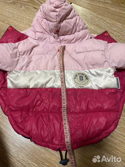 Одежда для собак