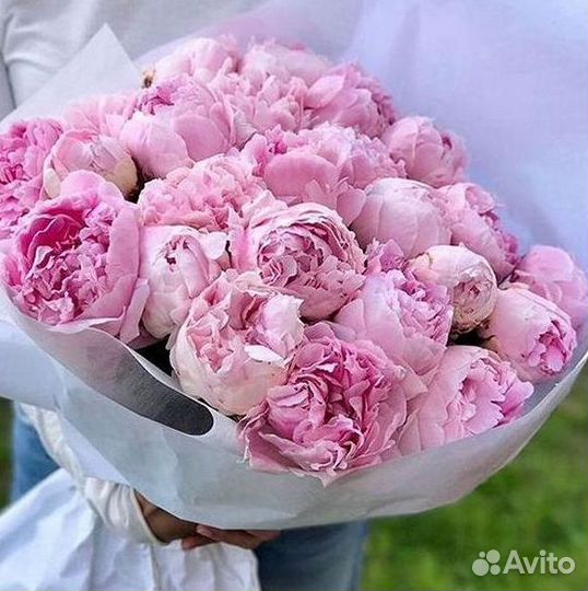 Пионы Букеты Цветы Доставка