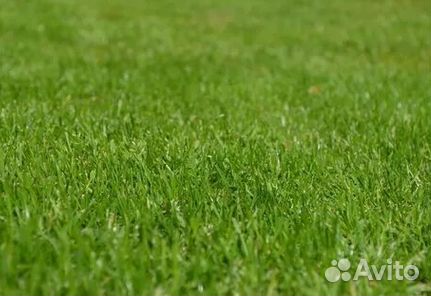 Гидропосев