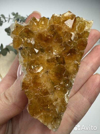 Друза цитрина