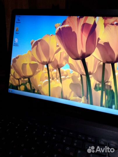 Ноутбук Samsung np300e5a