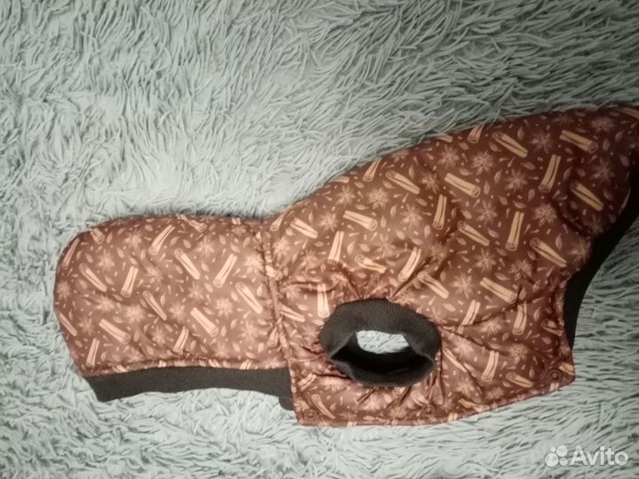 Одежда для собак