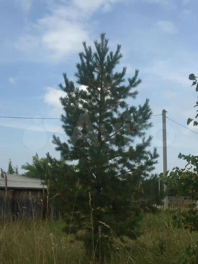 Дача 35 м² на участке 20 сот.