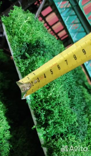 Готовые экопанели от производителя 25х50