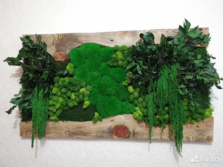 Картина из стабилизированного мха и растений