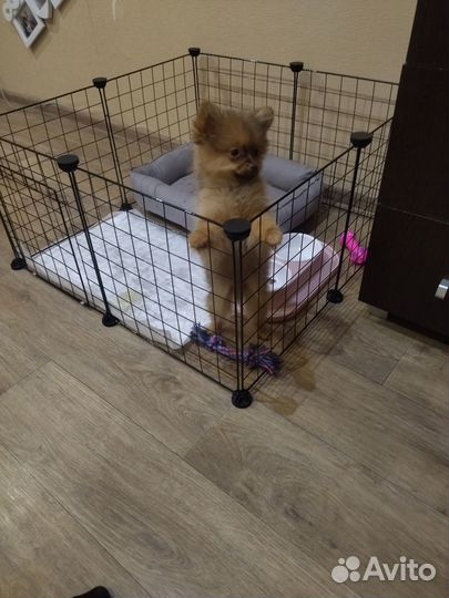 Вольер для домашних животных