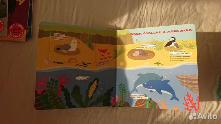 Книги clever новые