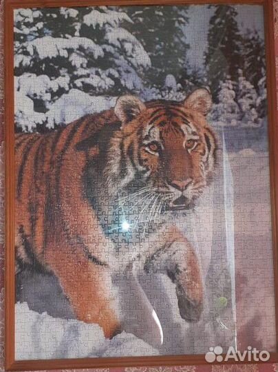 Картины из пазлов. Тигр