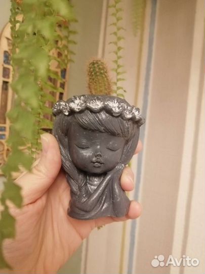 Кактус в мини кашпо