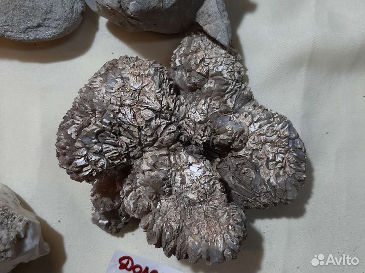 Минералы Доломит,ставролит,арагонит,селенит