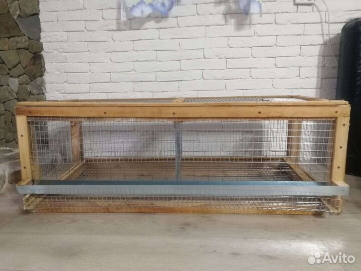 Брудер, сетка,клетка для перепелов