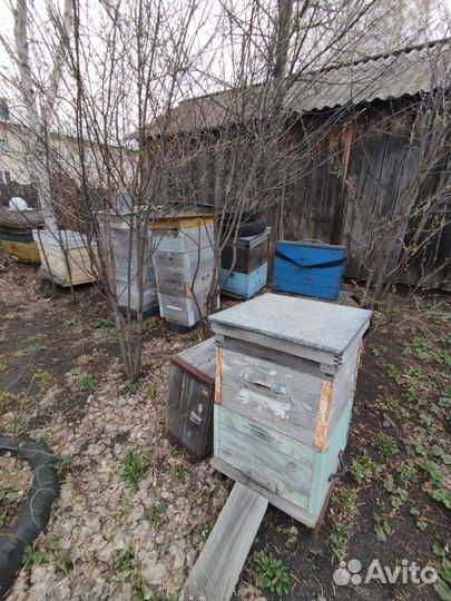 Ульи для пчел бу
