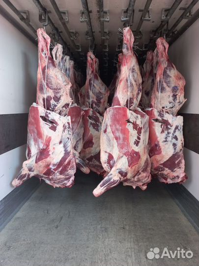 Мясо говядина, баранина оптом