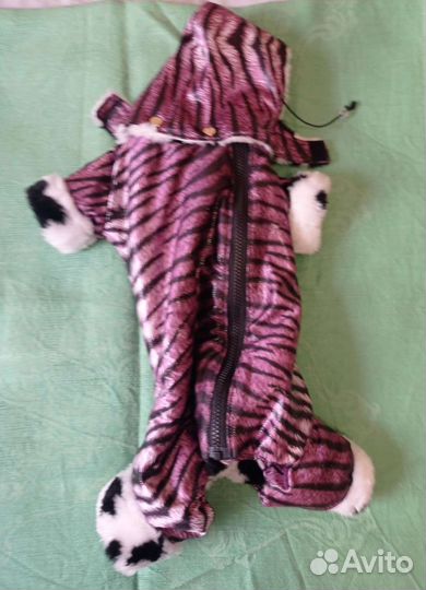 Костюм для собаки