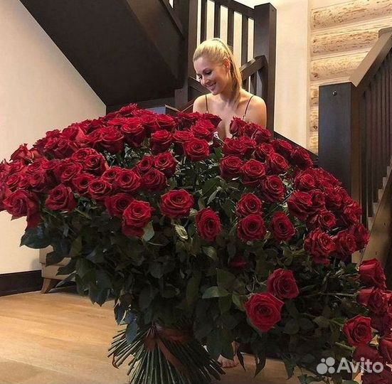 101 роза цветы букеты доставка 25 51 101 роза