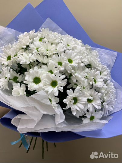 Гигант из хризантем. Доставка цветов Вологда