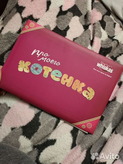 Фотоальбом для котёнка котёнок творчество