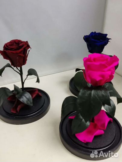 Роза в колбе оптом