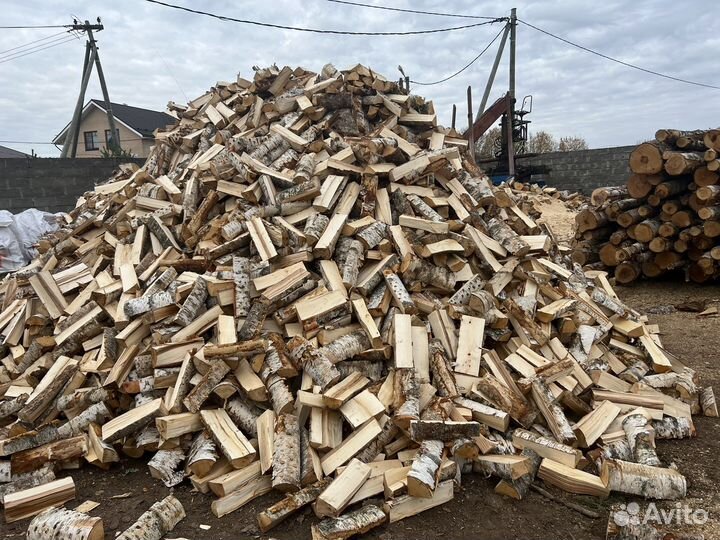 Дрова береза