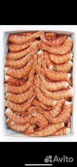 Лангустины. Морепродукты