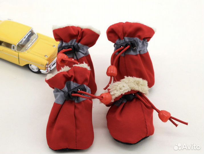 Одежда для собак