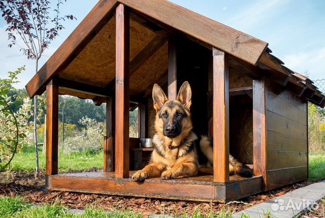 Будка для собаки