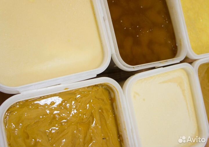 2024 Мед натуральный алтайский оптом