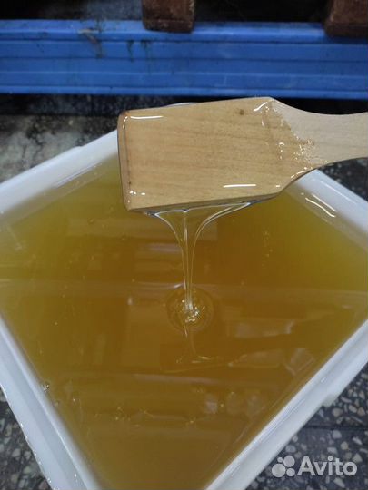 Липовый мёд оптом