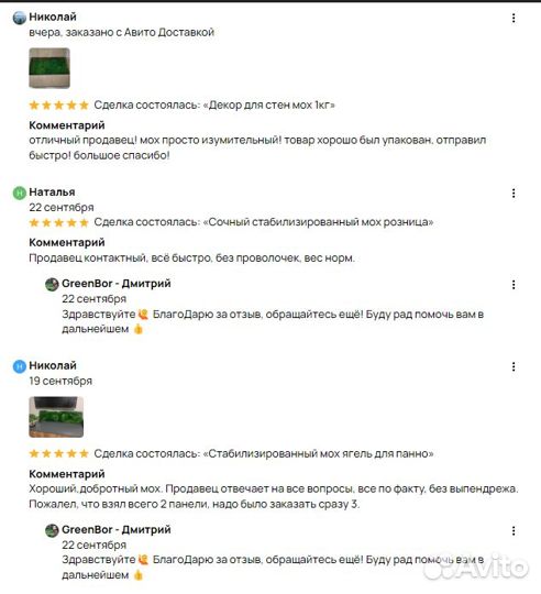 Вечно зеленый мох для интерьер панно спилы рейка