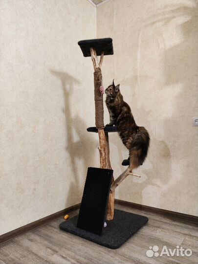 Когтеточка из дерева